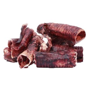 tracheabovina 1