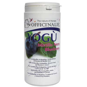 yogu mirtillo nero